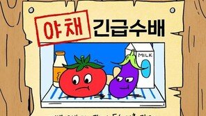 노라조, 이번엔 ‘야채’…‘푸드송’ 계보 잇는다