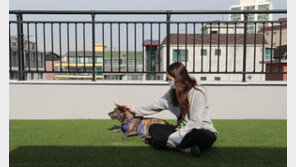 서울 1인가구 32.5% “외로움·경제적 불안보다 힘든 건…”