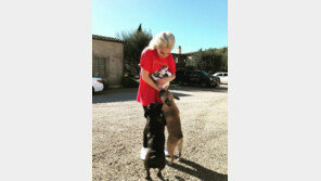 레이디가가 반려견 훔친 일당 검거…돌려준 女 공범