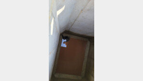 ‘둥둥’ 북소리 같은 구조요청에…농업용 수조에 빠진 수달 구사일생