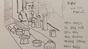 백자를 닮은… 푸른눈의 새하얀 고양이[전승훈 기자의 아트로드]