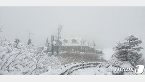 5월 하루 전 눈 펑펑…설악산 대청봉 15cm·미시령 21.5cm 때아닌 설경