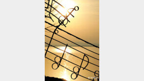 [고양이 눈]음악 같은 하루