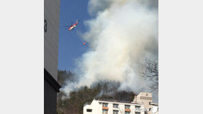 “유튜브서 본 탕후루 만들려다”…산불 낸 초등생 3명, 처벌은?