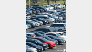 “전날 굶어서…” 생활고에 차량털이하던 남성 구속[THE 사건/단독]