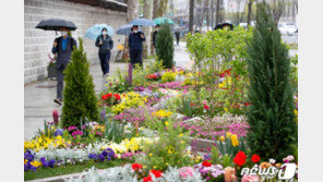 4일 전국 천둥번개 동반 비…제주 최대120㎜ 폭우