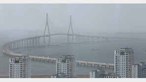 “바람 쐬고 싶어” 인천대교 위 남편 차에서 내린 아내 추락사