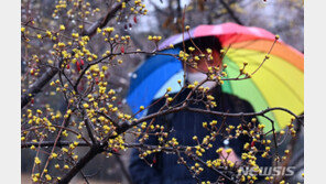 [날씨]요란한 봄비, 오후부터 전국 확대…천둥·번개·강풍주의