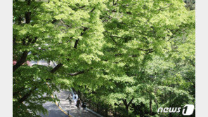 비 그치고 화창한 어린이날…낮 최고 16~24도