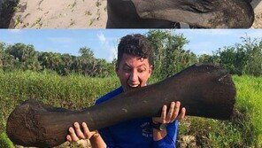 1만년 전 살았던 ‘매머드’ 뼈 발견…121cm 22kg 어마어마