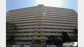 서울시, 잠실5단지 이어 대치 은마아파트 재건축 심의도 보류
