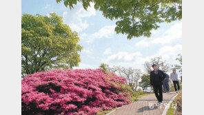 강화군 광성보에 봄기운 물씬