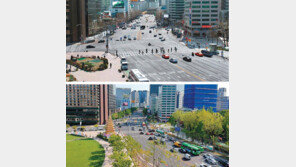세종대로… 서울역 1.55km, 나무-꽃 가득한 ‘도심 가로숲’ 탈바꿈