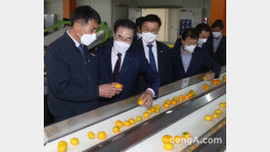 이성희 농협중앙회장, 제주 지역 농업·농촌 현장 점검