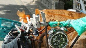 [고양이 눈]신나는 세상