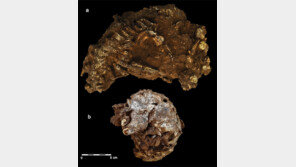 베개 벤 3세 아이… 아프리카 最古 무덤