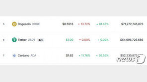 도지코인 13% 이상 폭락, 시총 5위로 밀려