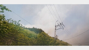 강풍·건조 특보 내려진 삼척에 산불…주민·등산객 대피