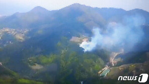 삼척 산불 1시간34분 걸려 진화…0.15㏊ 소실