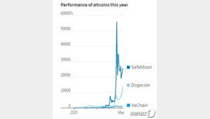 120배 오른 도지코인에 코웃음…200배 폭등한 ‘○○○○’