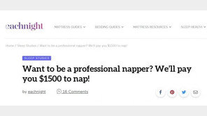 “한달간 168만원 ‘낮잠 알바’ 조건은 2가지” ·한국서도 지원 가능