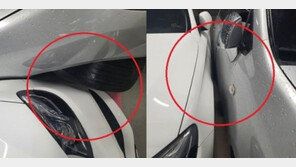 “‘벤츠 2칸 주차’ 쇼호스트, 예의 바르게 사과했다”…작성자 “내가 거짓말”