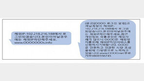 가짜 암호화폐 사이트 범죄 최근 3개월간 32건 급증