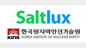 솔트룩스 “‘원자력안전규제 지식관리시스템 구축’ 2단계 사업 수주”