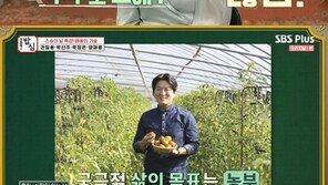 박선주, 강레오와 별거·이혼설 해명…결혼관 고백
