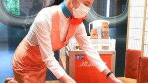 창밖엔 구름 대신 나무… 1층 상공서 맛보는 기내식