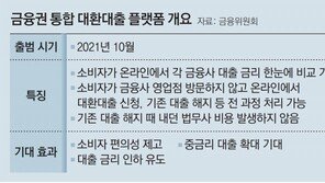 “클릭 한번으로 대출 갈아타세요”… 대환대출 통합 플랫폼 뜬다 