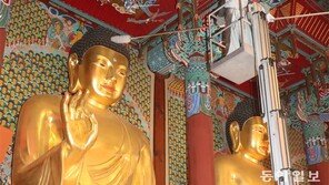 생일 앞두고 깨끗해진 부처님