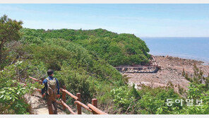 피톤치드 가득한 해송길 걸으며 힐링