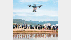 하늘에서 볍씨 투하