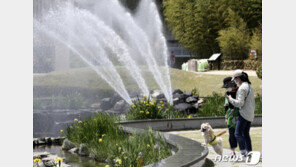 벌써 초여름이네…낮 최고기온 광주 30도-곡성 31.1도