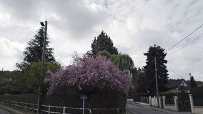 마리 퀴리가 살았던 佛주택 구매하려는 폴란드, 왜?