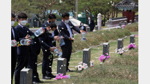 광주 민주묘지에 날아오른 흰나비 518마리