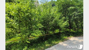 경찰, 40대 손님 토막살해·유기 노래주점 업주 신상 공개 추진