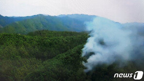 횡성 산불 1시간17분 만에 진화 완료