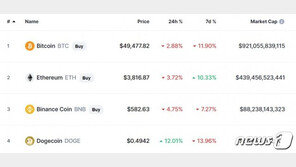 머스크 비트코인 시장서 철수했지만 장기적 영향은 미미…왜?