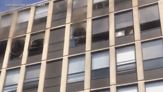불이 난 5층 건물에서 뛰어내려 무사 탈출한 고양이 (영상)