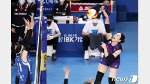 이한비·지민경·이현·최가은·최민지 5명, 페퍼저축은행 유니폼 입는다