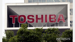 다크사이드, 美송유관 이어 日도시바 자회사 해킹