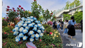“이런 꽃은 처음”…전세계 58개 정원, 서울에서 만난다