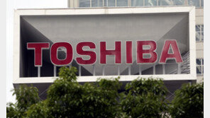 다크사이드, 美 송유관 이어 日 도시바 해킹…“기밀정보 740GB 빼내”