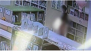 아파트 단지 내 도서관서 어린이 향해 음란행위 한 20대 男 구속