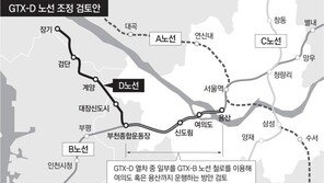‘김부선’ 반발에 GTX-D 서울까지 연장 검토 