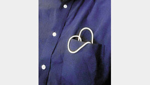 [고양이 눈] 내 마음속 ‘하트!’