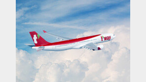 제주행 티웨이 여객기서 속도계 이상…“빠른 대처로 문제 없어”