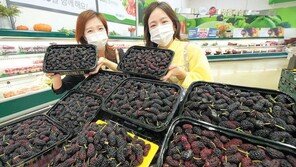 “몸에 좋은 오디 맛보세요”